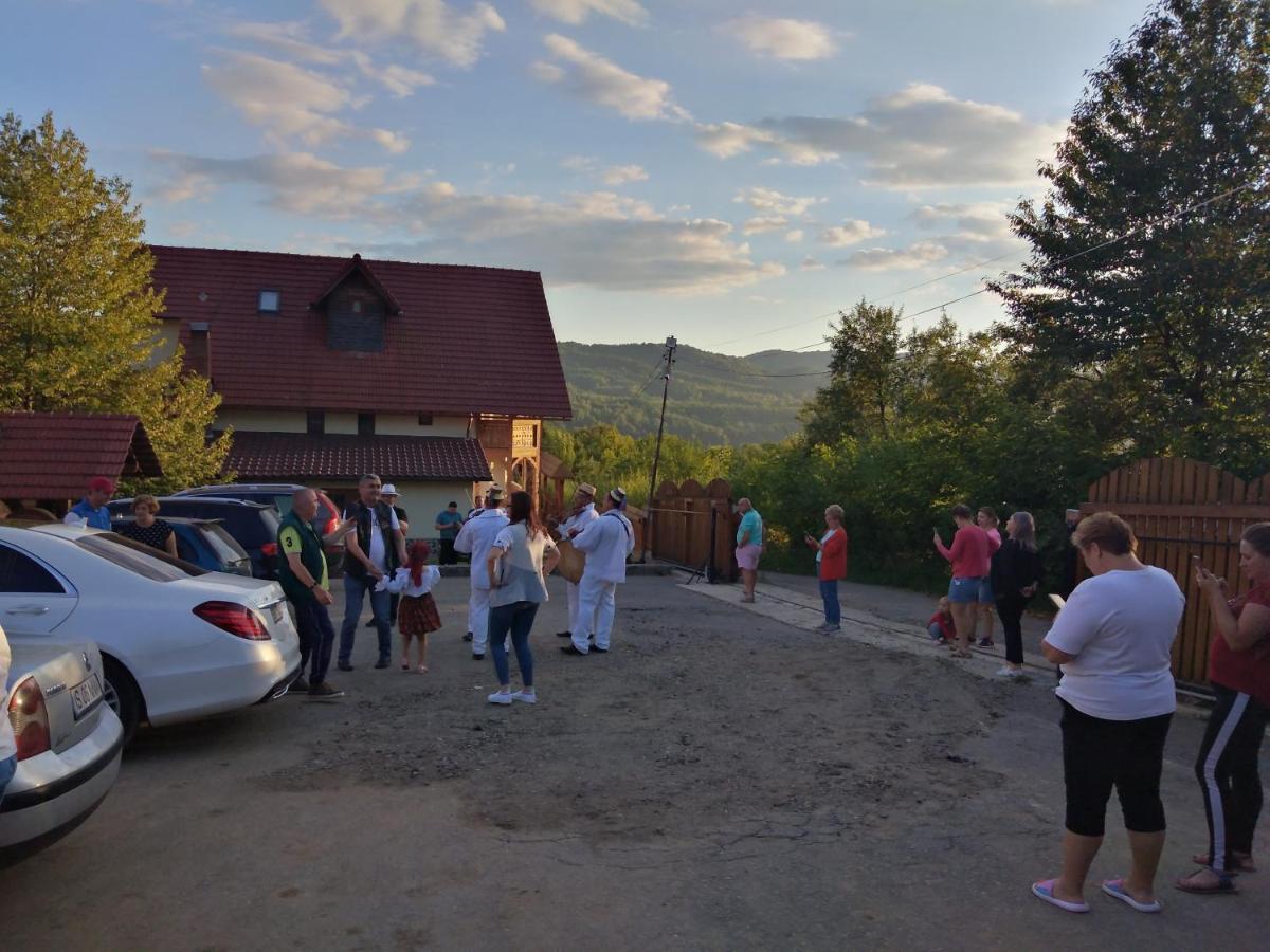 Pensiunea Valea Branzei Nanesti Luaran gambar
