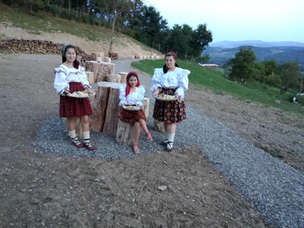 Pensiunea Valea Branzei Nanesti Luaran gambar