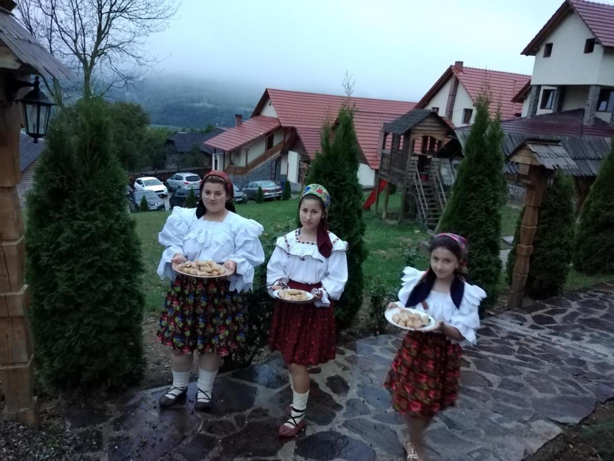 Pensiunea Valea Branzei Nanesti Luaran gambar