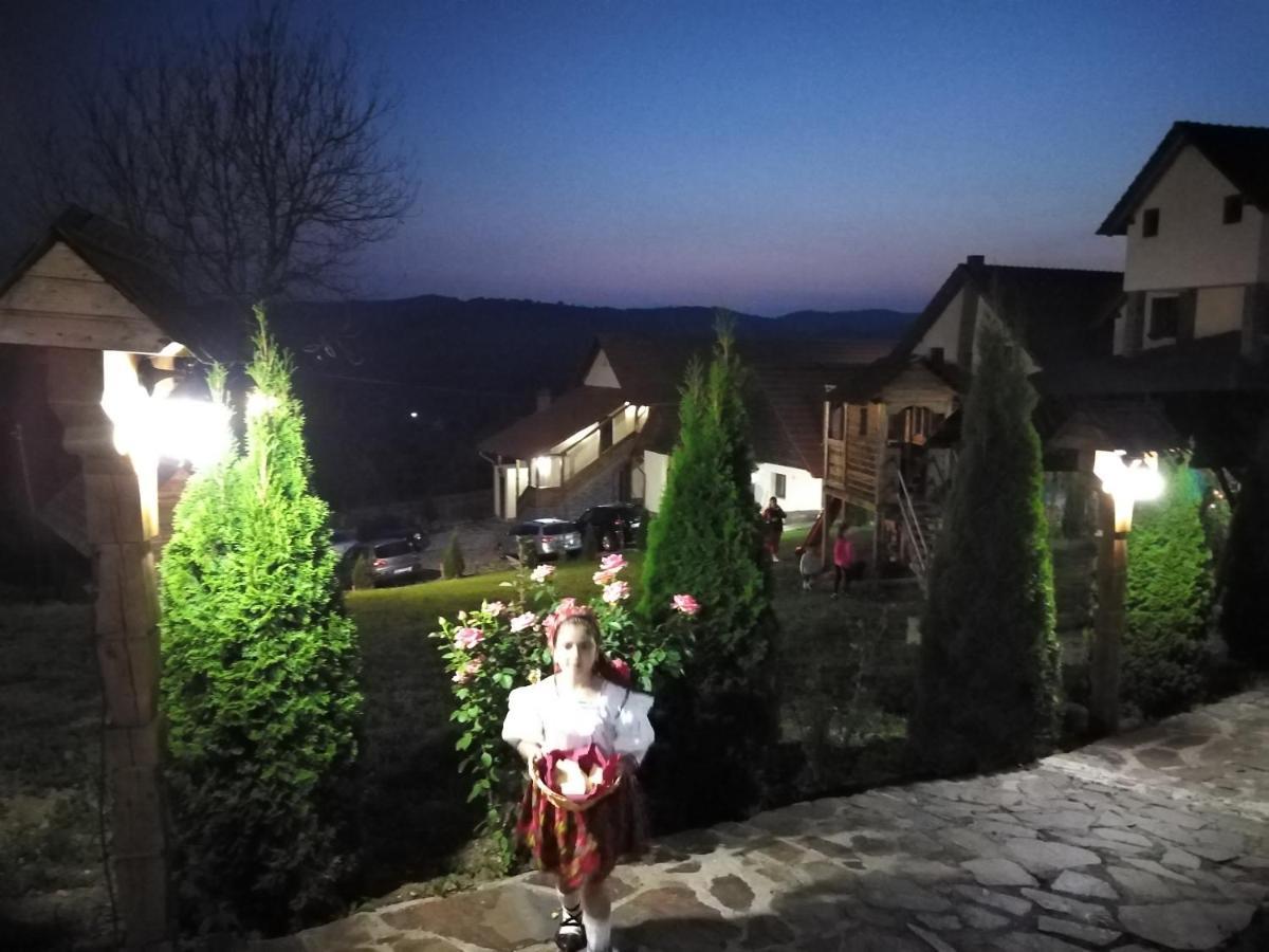 Pensiunea Valea Branzei Nanesti Luaran gambar