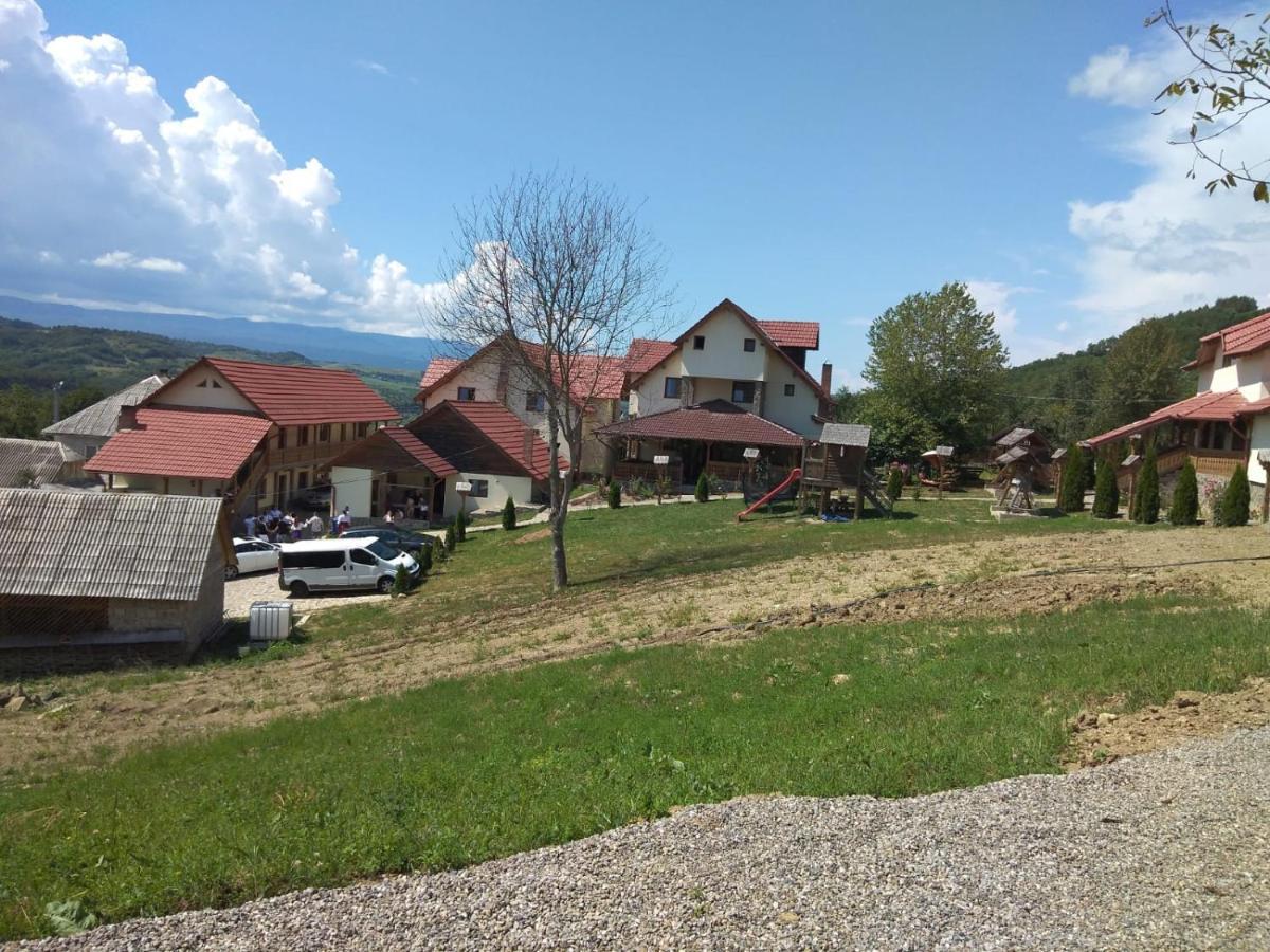 Pensiunea Valea Branzei Nanesti Luaran gambar