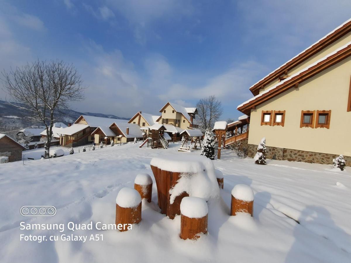 Pensiunea Valea Branzei Nanesti Luaran gambar