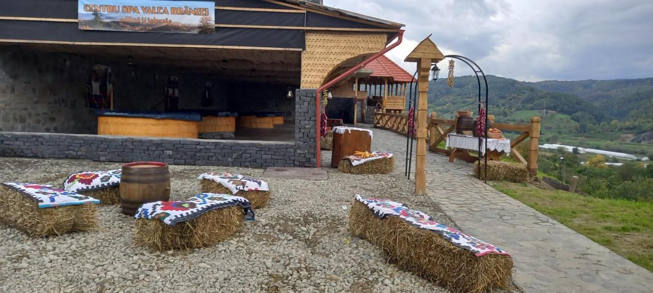 Pensiunea Valea Branzei Nanesti Luaran gambar