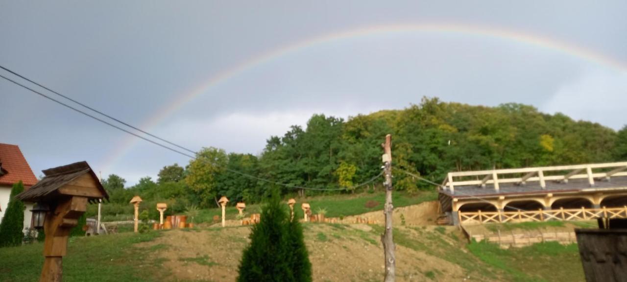 Pensiunea Valea Branzei Nanesti Luaran gambar