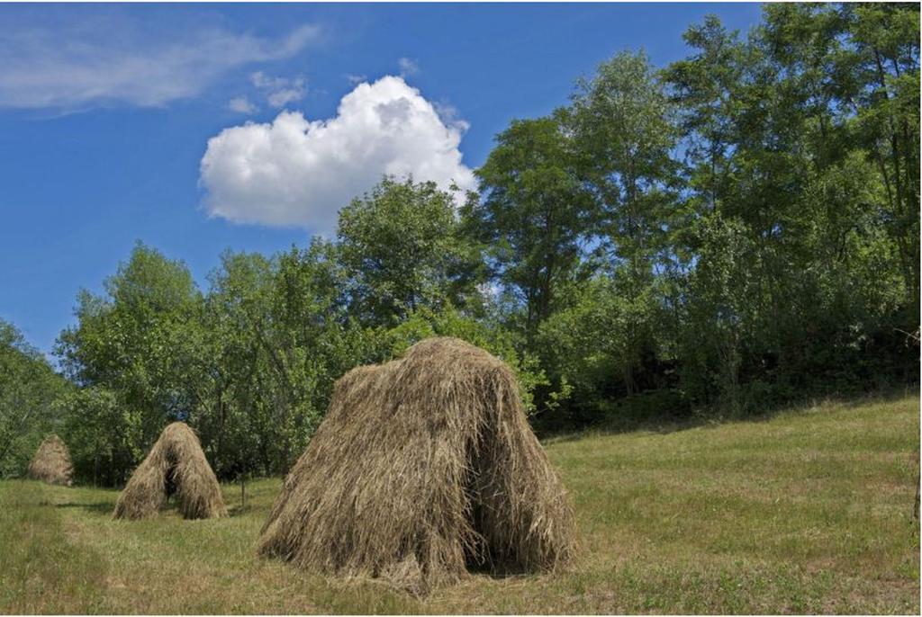 Pensiunea Valea Branzei Nanesti Luaran gambar