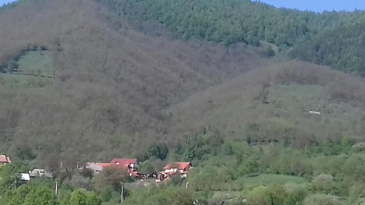 Pensiunea Valea Branzei Nanesti Luaran gambar