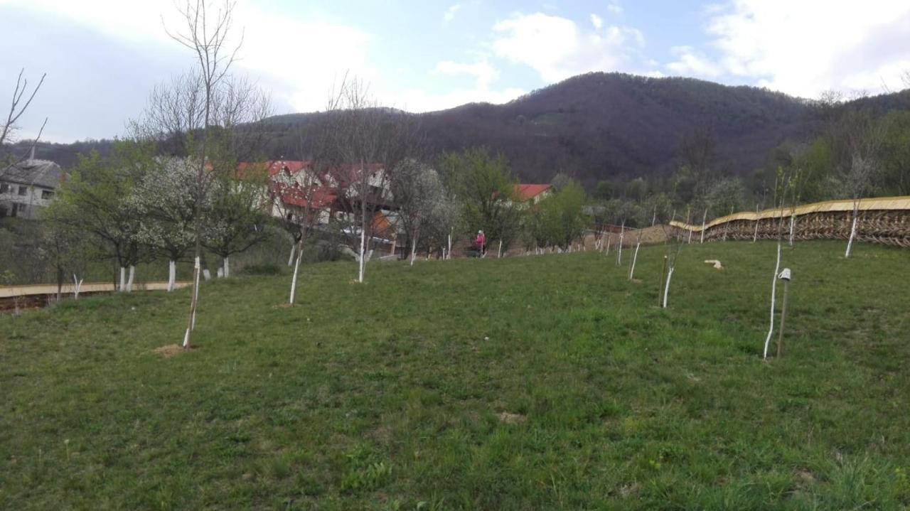 Pensiunea Valea Branzei Nanesti Luaran gambar